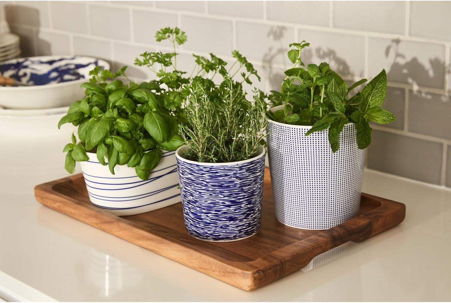 Royal Doulton 1815 Pacific Large Planter