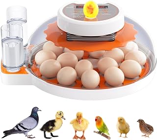 PAWZOO Egg Incubator: 18-60 Egg Capacity, Automatic Turner, Temp/Humidity Control, 360° View for Chicken Duck Quail Eggs