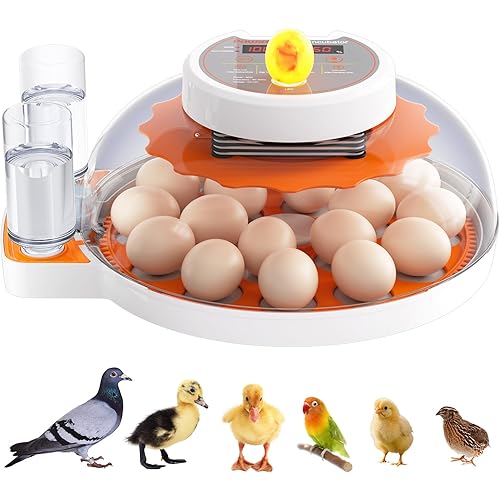 Incubators for Hatching Eggs - 18 Egg Capacity，Automatic Egg Turner，360° Viewing，Temperature & Humidity Control，Dual Size Egg Trays for Chicken, Duck, Goose, Turkey, Quail, and Parrot Eggs