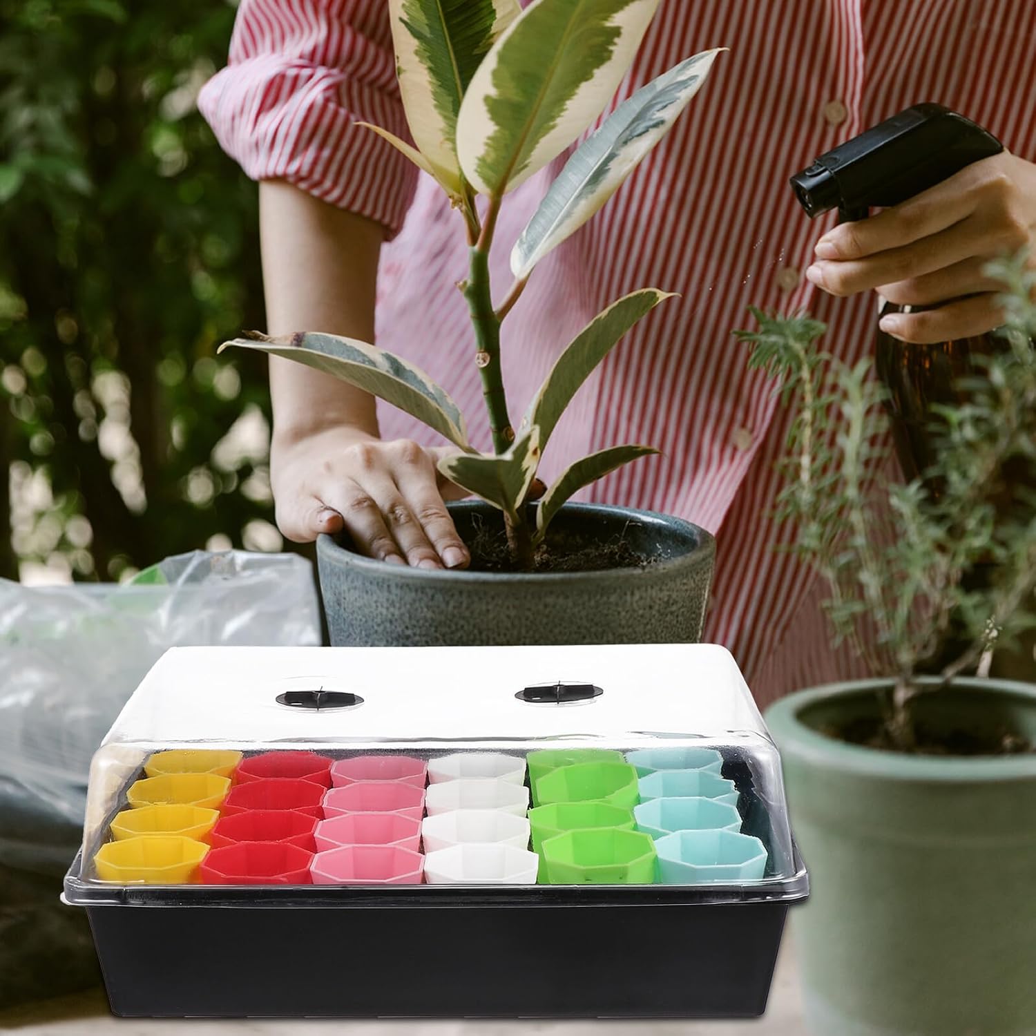 Seed Starter Tray Kit with Propagation Trays and Dome for Indoor Vegetable Germination 24 Macaron Cups Rolling Stand for Controlled Water and Airflow