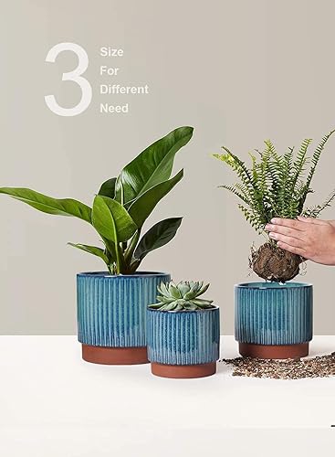 Miniatura 35 de LE TAUCI Macetas de cerámica para plantas, macetas de 8 + 6.7 + 5.5 pulgadas para interiores, maceta con agujeros de drenaje, macetas cilíndricas