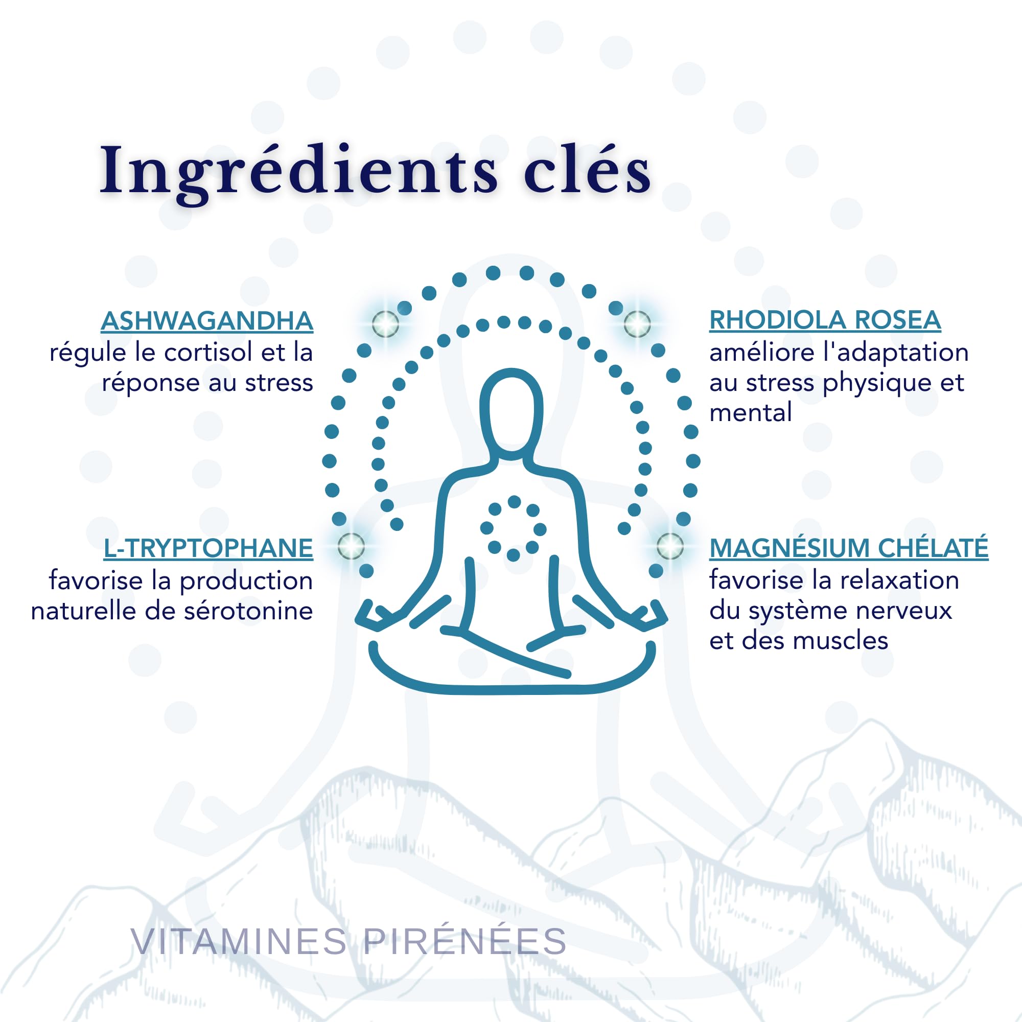 L-Tryptophane Magnésium Ashwagandha Rhodiola – Gestion de l’Équilibre Émotionnel et de l’Énergie, 4 Compléments en 1 Paquet pour Bien-être Mental et Vitalité I 28 Doses Journalières