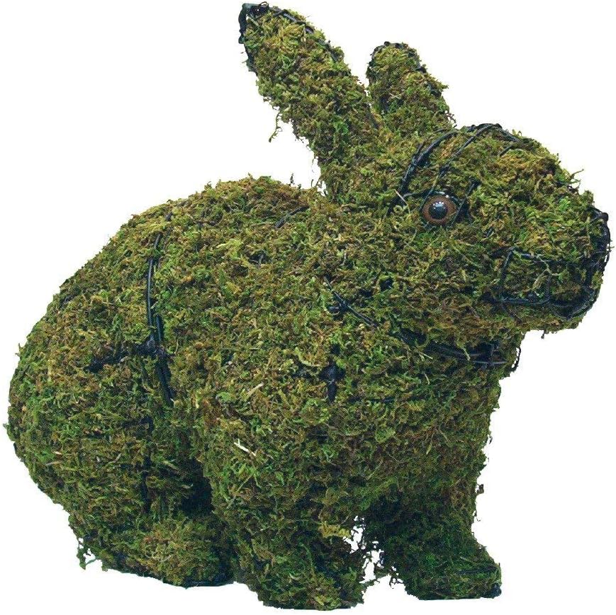 amazon com hopping rabbit 17 and 26