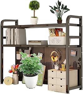 Amazon.com: 2 Tier Desktop Bookcase Independent Bookshelf Countertop ...