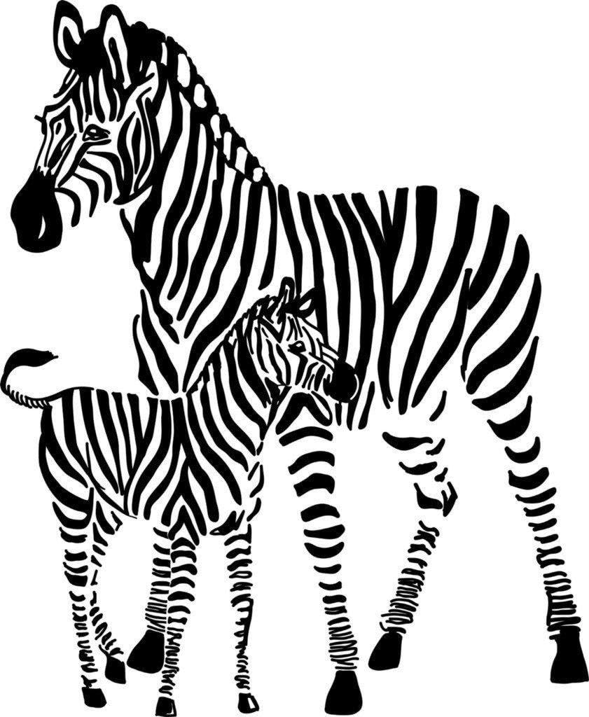 Decals - 2 Zebras Animal African Safari Wall Sticker Size 21 Inches X 21 Inches - 22 Colors Available