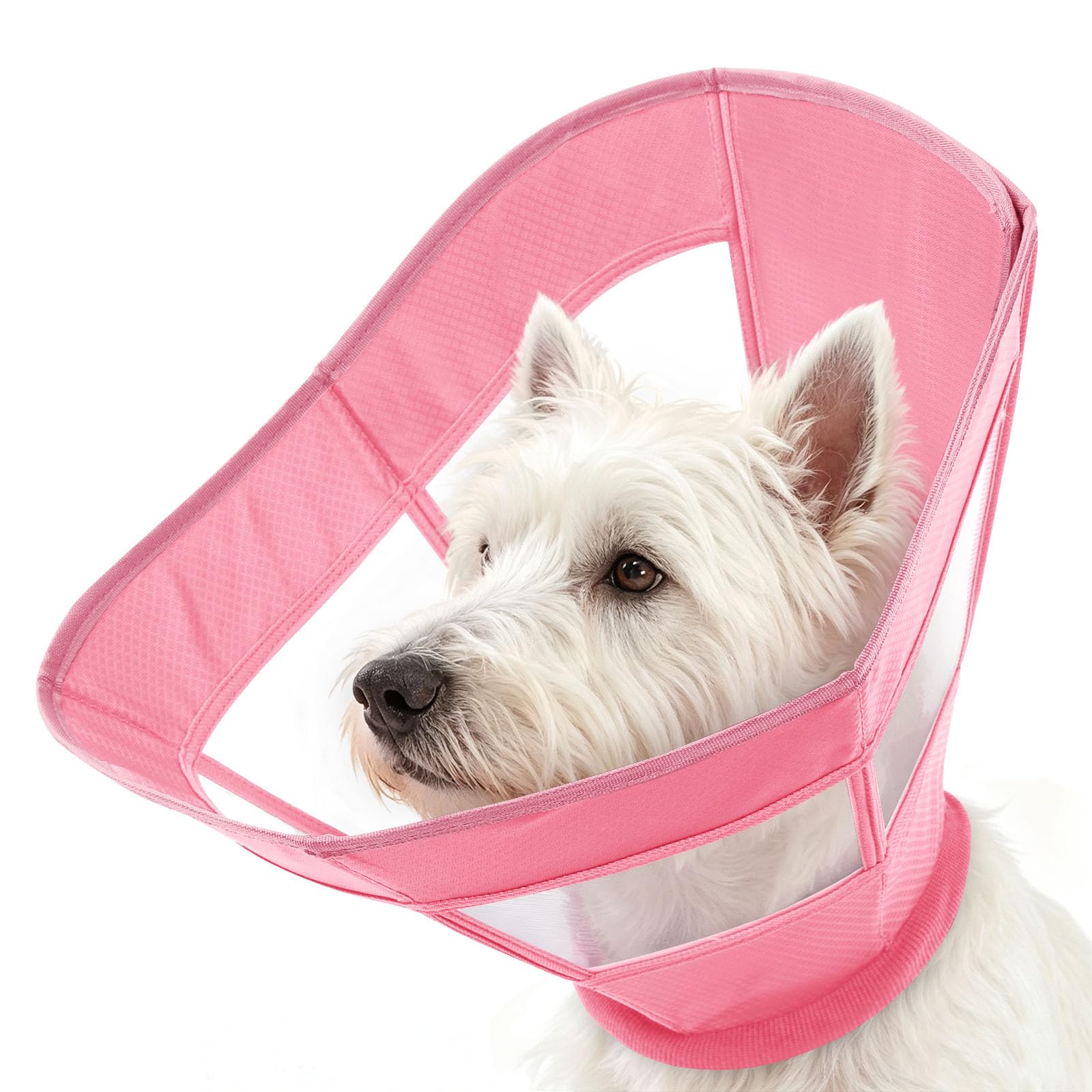 Photo 1 of KAMA BRIDAL Soft Dog Cone Collar