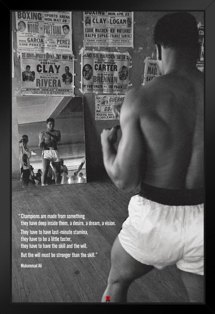 Pyramid America Framed Plexi Posters