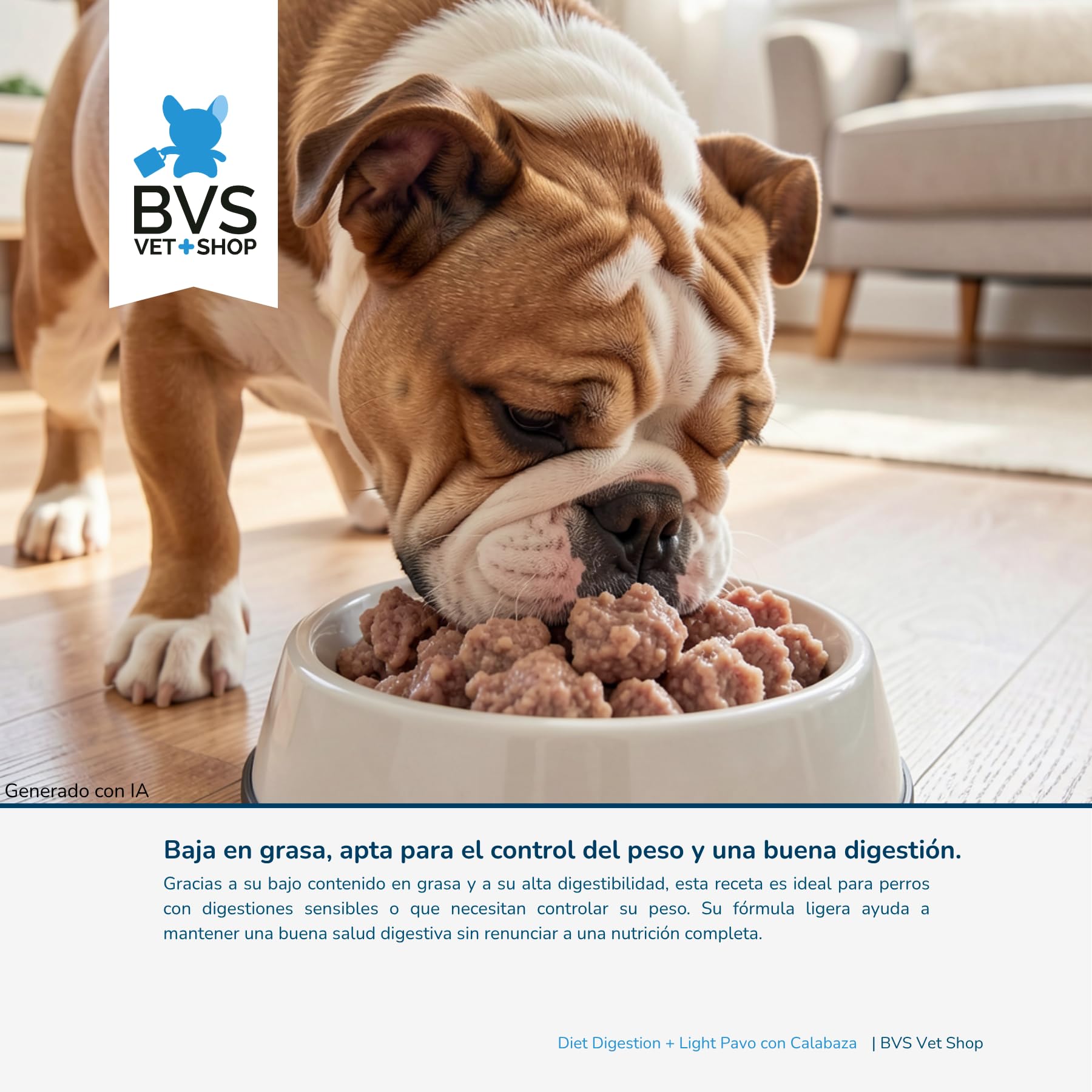 BVS Vet Shop | Diet Digestion + Light Pavo con Calabaza Lata para Perros | Alimento dietético Completo para Perros con Malas digestiones o insuficiencia pancreática | 6 unid. x 400 gr