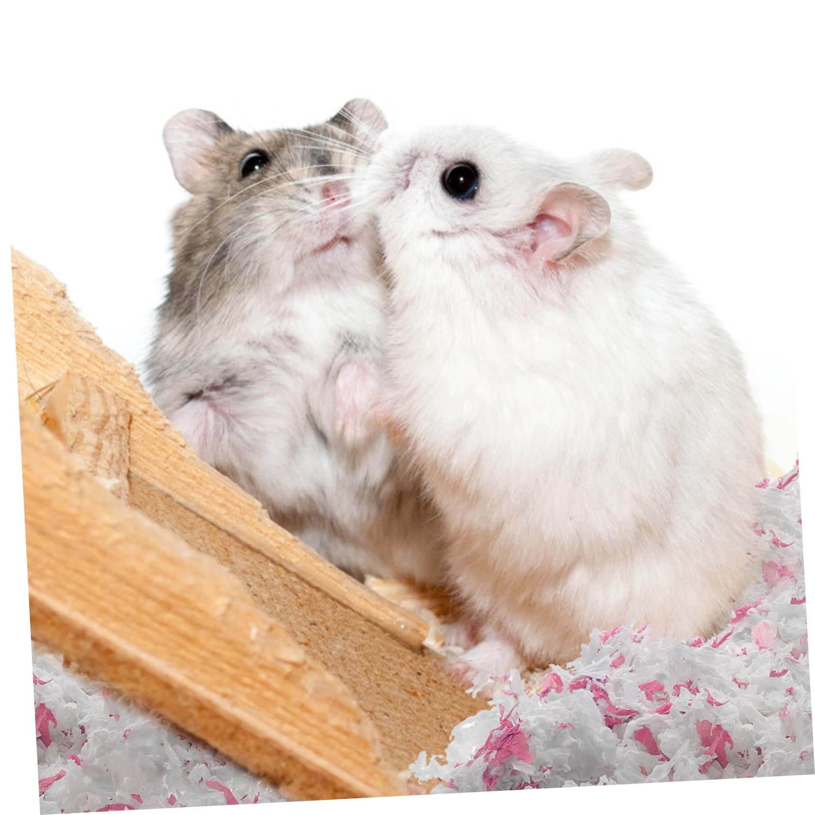 DOITOOL 1tasche Hamsterpapierstreu Für Kleintiere Staubfreie Saugfähige Papierbettung Für Hamster Meerschweinchen Und Andere Nager Packung Optimaler Geruchs Und Feuchtigkeitsschutz
