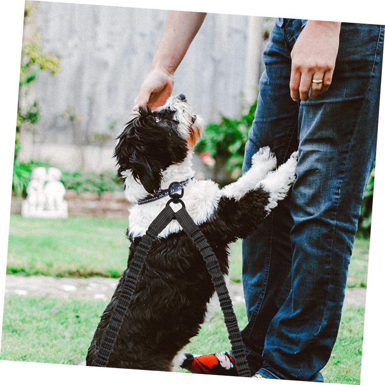 VALICLUD Correa de Tracción Doble Reflectante para Perros Pequeños, 3 Piezas (2 Gris Oscuro 1 Gris Claro), Cuerda Resistente para Paseos y Correr al Aire Libre, Accesorio Seguro