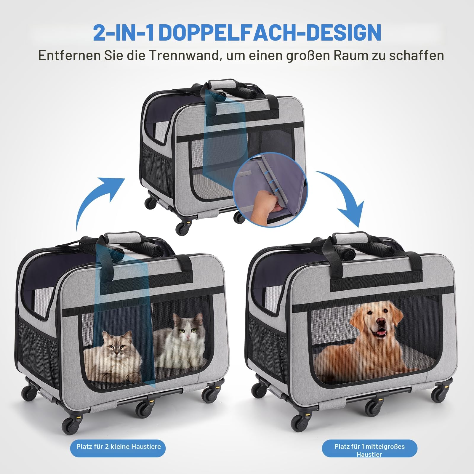 Extra Große Katzentransportbox für 2 Katzen bis 20kg, Faltbare Transportboxen für 2 Katzen mit Rollen, Transportbox Katze Groß für Spaziergänge/Camping, Grau