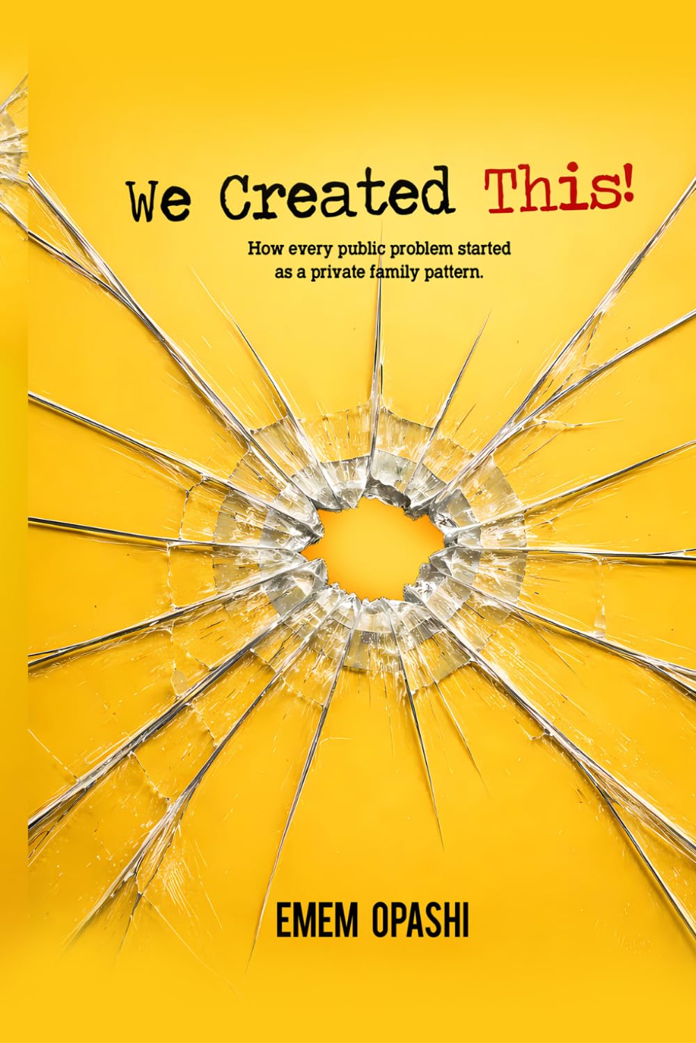 We Created This!: How every public problem started as a private family pattern