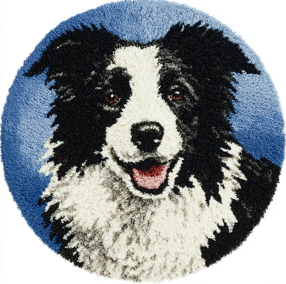 Kitphoenix Latch Hook Kits For Adults Kids Border Collie 20X20inch (50X50cm) Diy Latch Hook Rug Kit, Home Carpet Rug Making Kit, Cross Stitch Embroidery Kits Needlework Crafts Rug For Home Decor