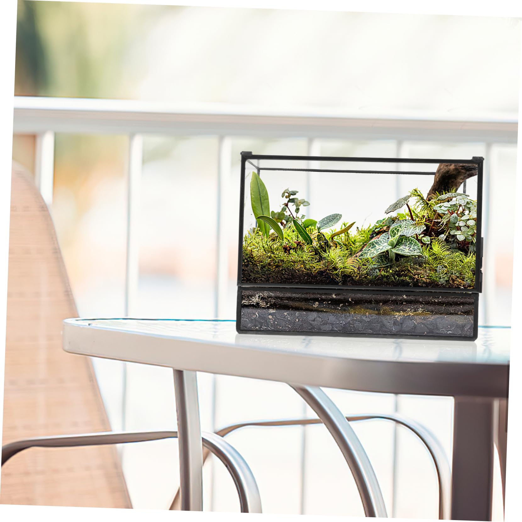 Handgefertigtes Geometrisches Glas Terrarium mit Glatter Oberfläche für Pflanzen und Moos Kleines Terrarium für Wohnzimmer und Tischdekoration