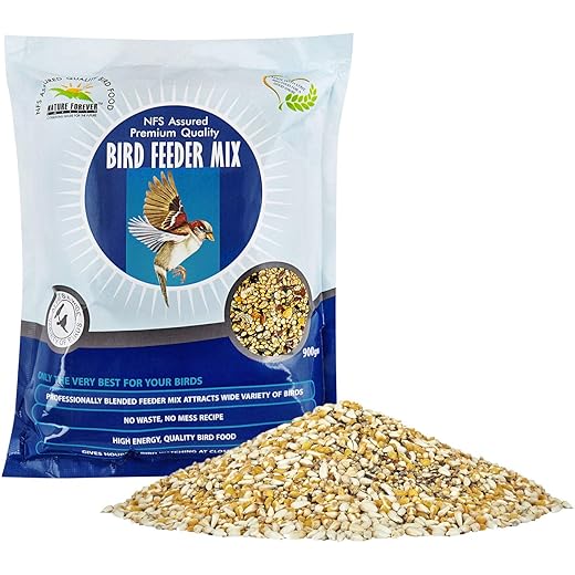 Nature Forever Bird Seeds Feeder Mix 900g