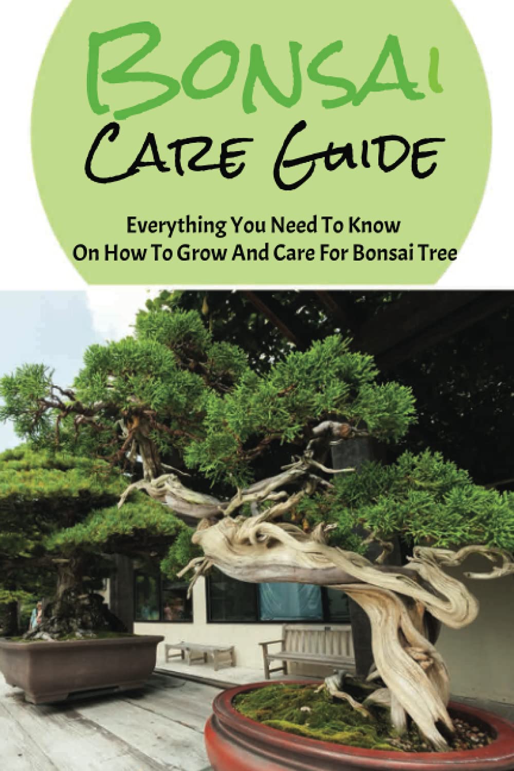Bonsai Tree Care For Beginners: Ways To Grow And Care For A Bonsai Tree: How To Grow Your Bonsai Tree