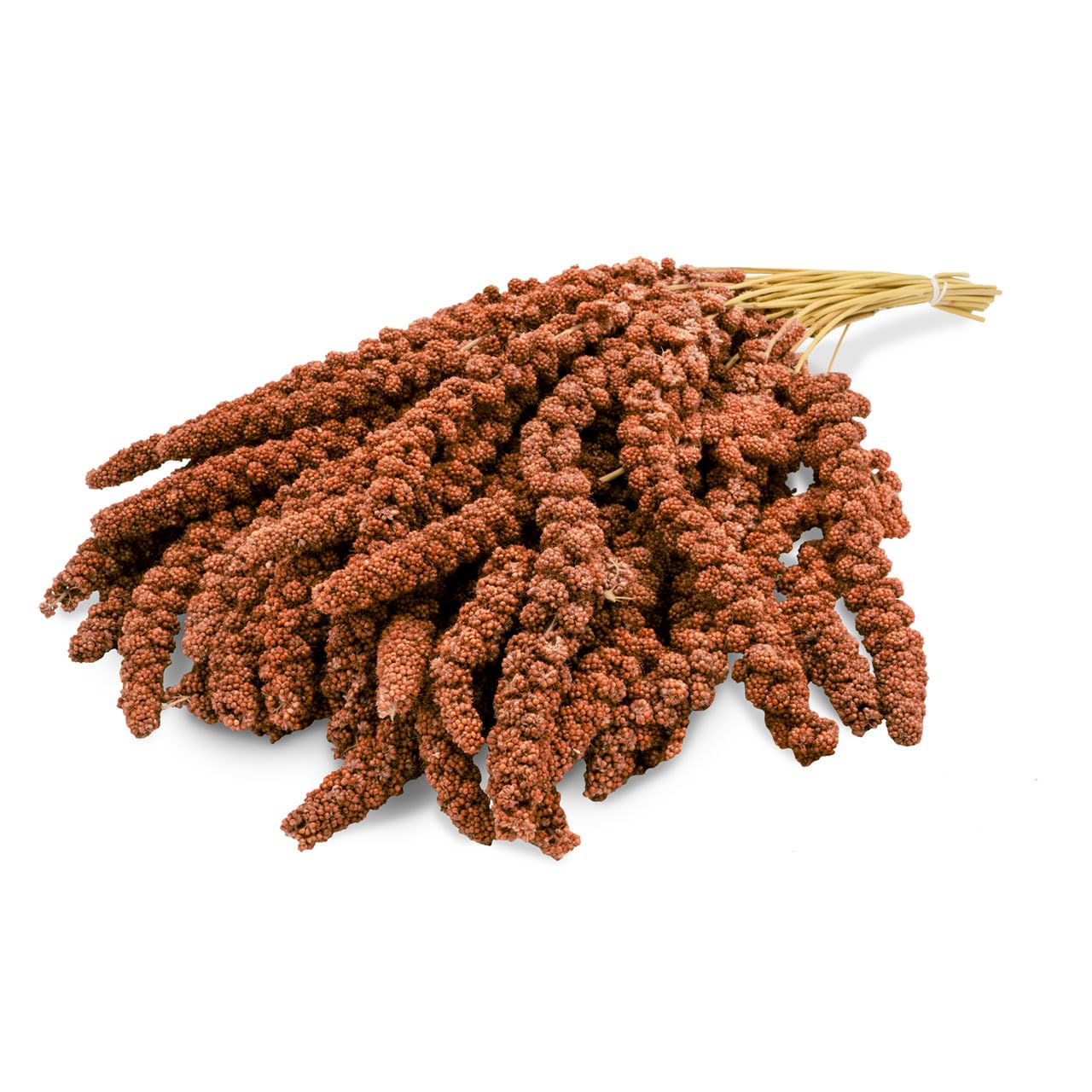 JR FARM Birds proso tłokowe czerwone 1 kg