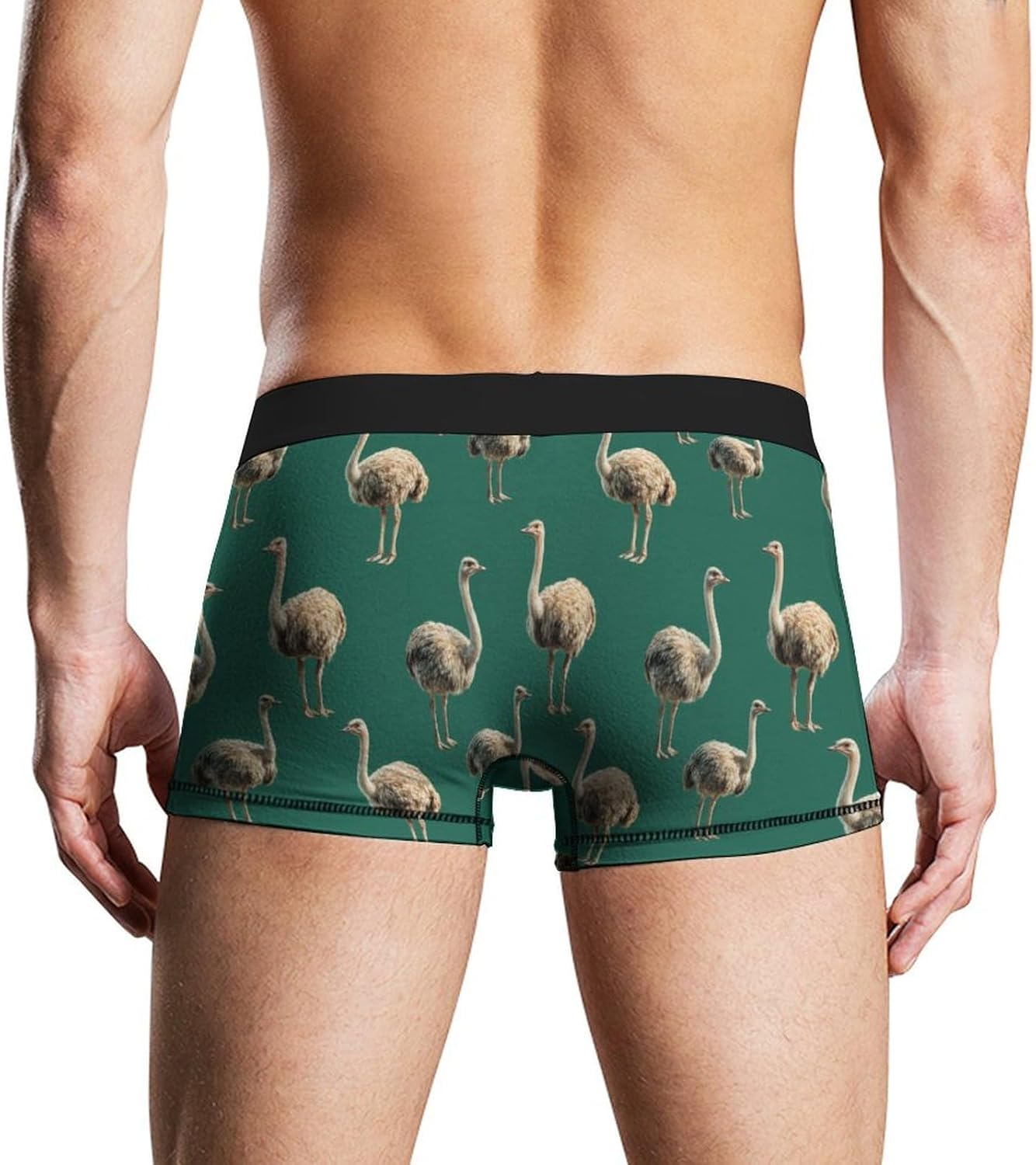 Ostrich Novelty Men's Boxer Briefs Soft Breathable Underpants Trunks Stretch Underwear