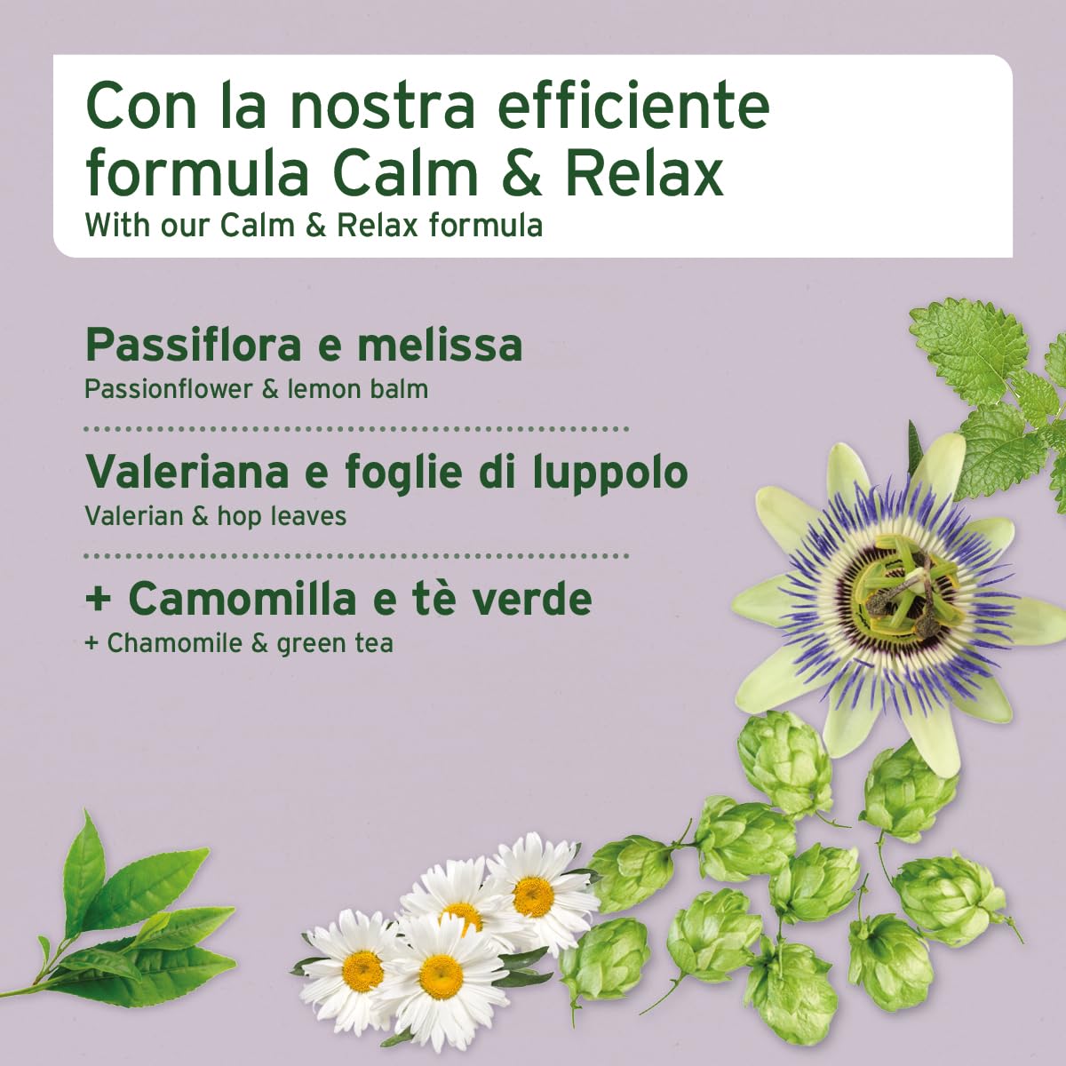 AniForte Relax Snack per cani 300g - Crocchette naturale rilassante e calmante, ant istress, con valeriana, melissa, rosmarino, per sostenere situazioni di stress, ansia, nervosismo