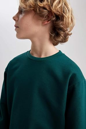 DeFacto B7772a8 Sweatshirt Boy
