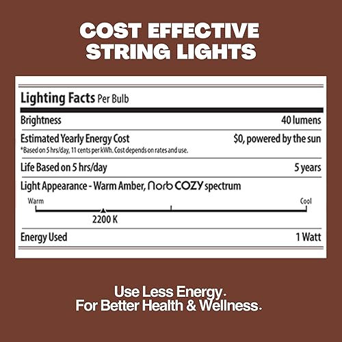 Miniatura 7 de Norb Tira de luces solares de 35 pies con espectro de luz NorbCOZY. Incluye bombillas LED de estilo vintage inastillables de 1 vatio y panel solar.