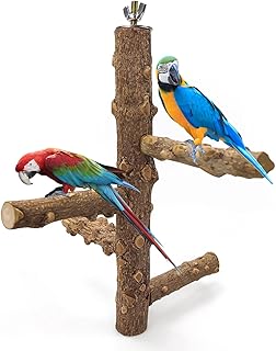 Bird Perch Stand, Pepperwood Parrot Standing Frame Parrot Bird Natural Wood Stand Perch, Nature Wood Stand Bird Standing Climbing Chewing Toys for Parrot Parakeet Cockatiel(B)