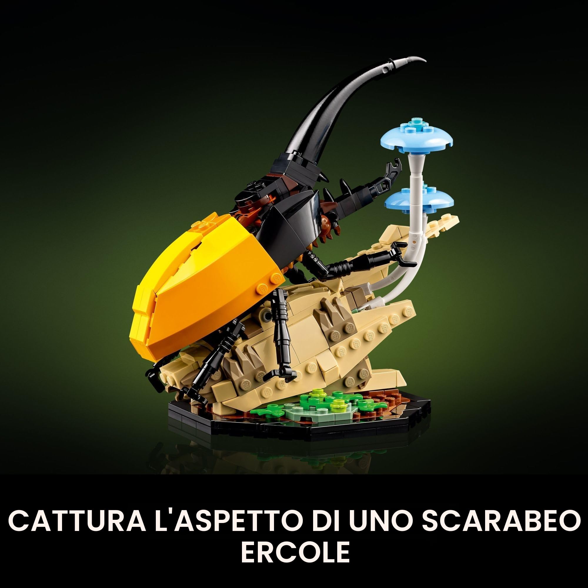 CapCut Photo Editor per gli amanti della natura: migliorare la