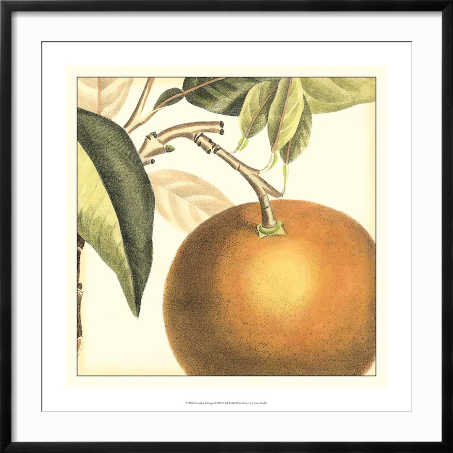 Amazon.com: ART.COM Wall Art Print Graphic Orange on Black Frame