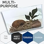 Aquarium Tank - Large - Molded Plastic - 1.75 Gallon Capacity - 10.25" x 6.5" x 6.25"