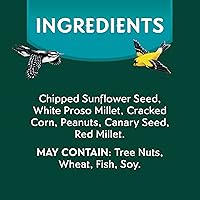 Vista 11 de Mañana canción limpio y libre