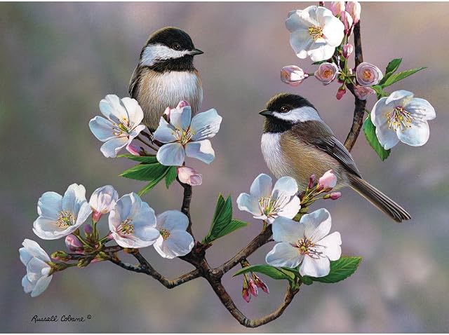 Bits and Pieces - 300 Large Piece Jigsaw Puzzle for Adults - Cherry Blossom Chickadees - 300 pc Spring Birds Jigsaw by Artist Russell Cobane