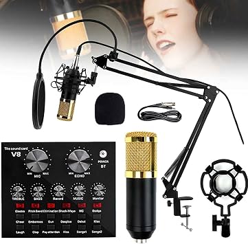 Condenser Microphone Kit PC Microphone Kit with USB Sound Card Adjustable Metal Arm Stand Professional Mic Set Great for Recording Video