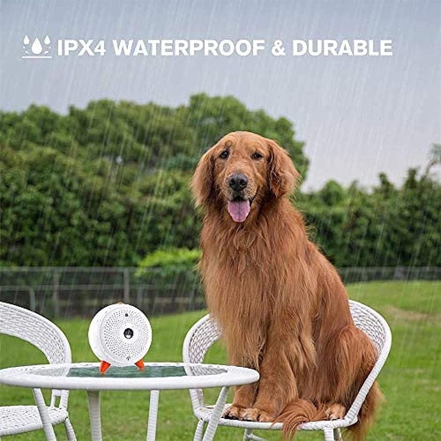 Dispositivo antiladridos, dispositivo de control de ladridos 2 en 1 y entrenamiento de perros, disuasorio ultrasónico de ladridos de perros, caja de ladridos impermeable, dispositivos de control de la