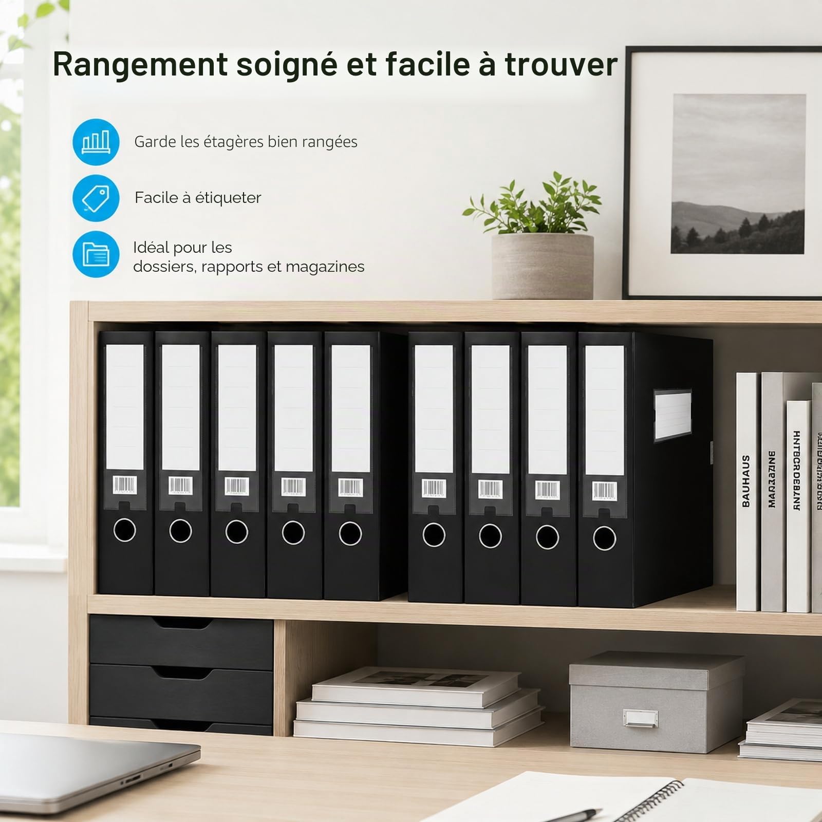 WOPPLXY Lot de 8 Boite Archive, 31 x 23,5 x 7,5 cm Boite Archive Plastique Noir, Boite de Classement A4 pour le Bureau, la Maison, l'École (Dos de 75 mm)