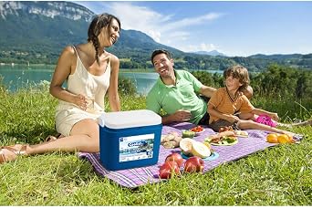 Coolist CLB10 10 Liter Freezer