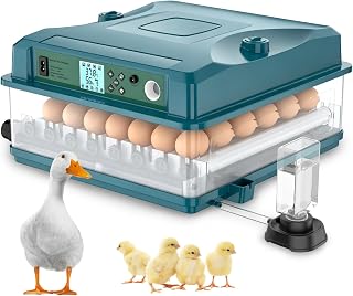 Automatischer Inkubator für 36 Eier, 4 Automatikmodi, elektrische Brutmaschine - Automatisches Wenden & Automatische Wasserzufuhr - Intelligente Temperaturkontrolle - Doppelte Stromversorgung (B)