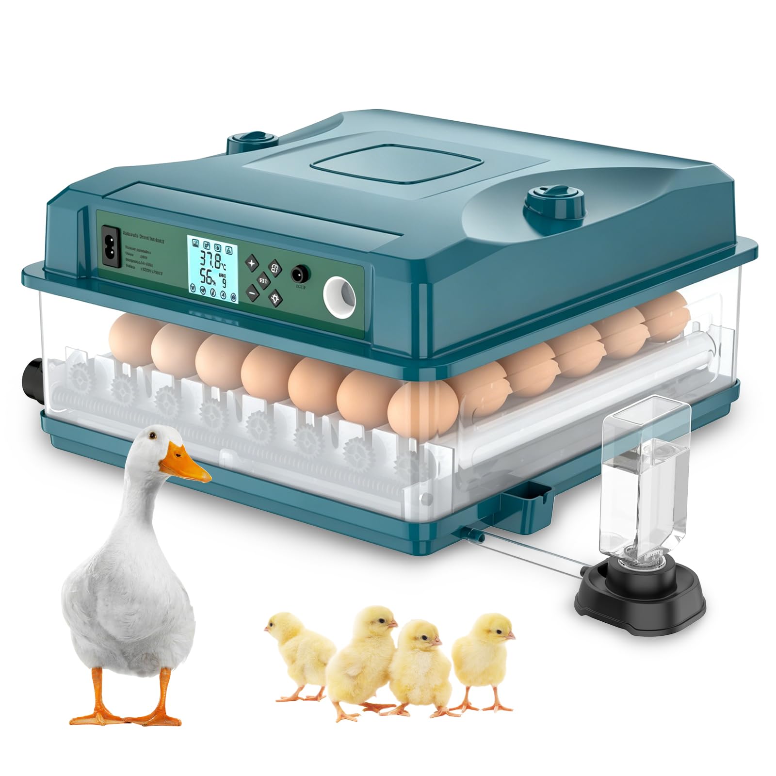 Kouamor Incubatrice Automatica Per 36 Uova, 4 Modalità Auto, Elettrica - Rotazione E Alimentazione Dell'acqua Controllo Intelligente Della Temperatura Doppia