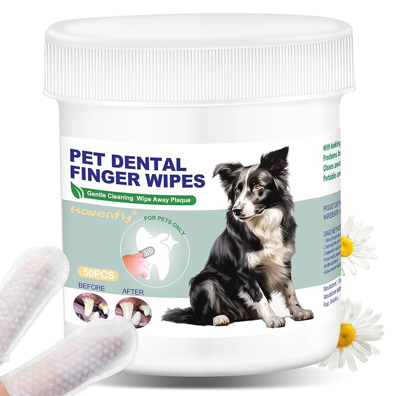 Lenços Dentais para Cães e Gatos com Formato de Dedo Havenfly, Pacote com 50