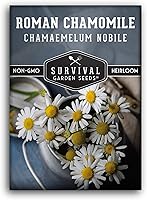 Vista 1 de Semilla de manzanilla romana para plantar, paquete con instrucciones para plantar y cultivar hierbas medicinales calmantes en tu huerto casero