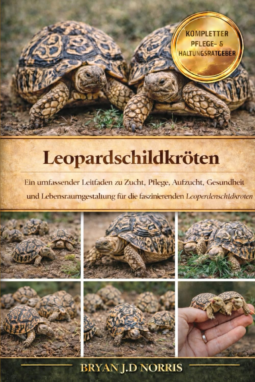 Leopardschildkröten: Ein umfassender Leitfaden zu Zucht, Pflege, Aufzucht, Gesundheit und Lebensraumgestaltung für die faszinierenden Leopardenschildkröten