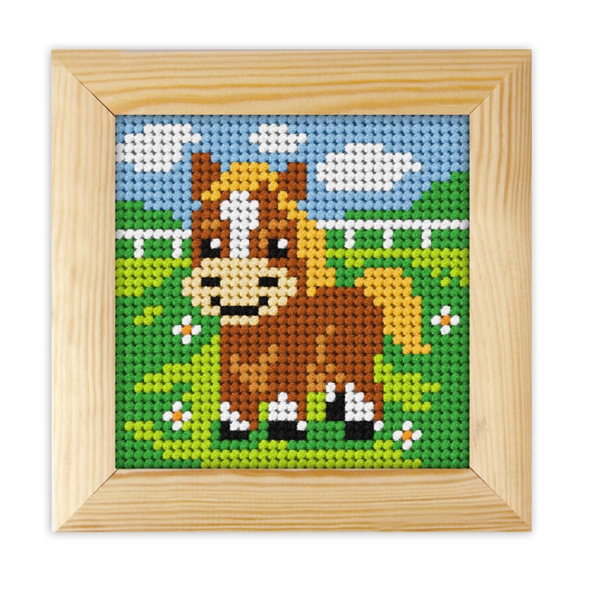 Orchidea Pony Needlepoint Kit