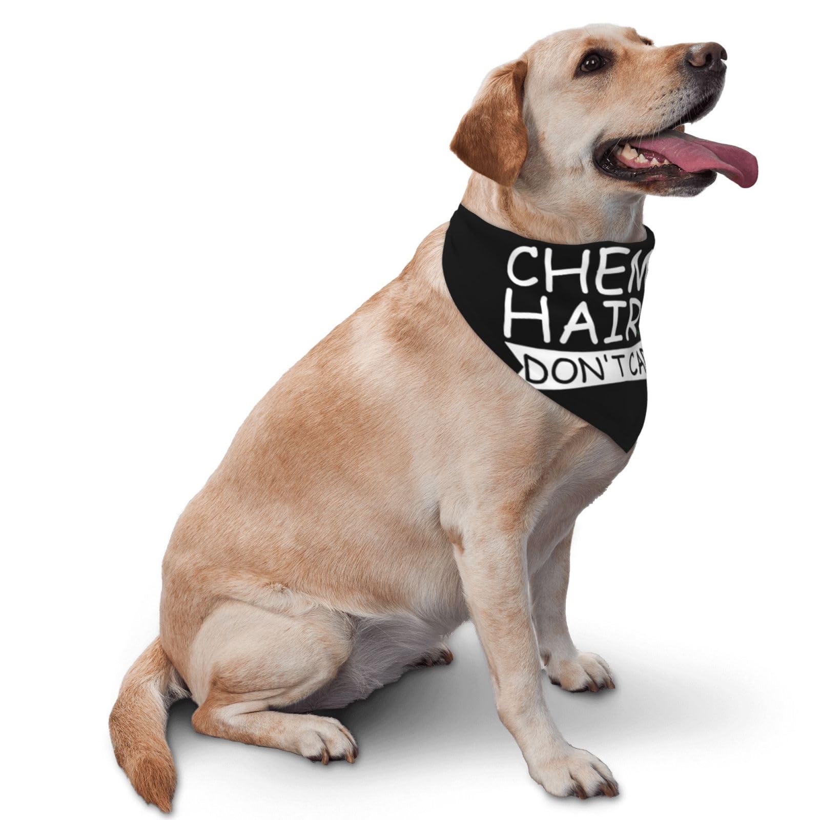 Chemo Hair Don't Care Gallbladder Cancer Dog Scarf Pet Bandana Cat Pet Bibs