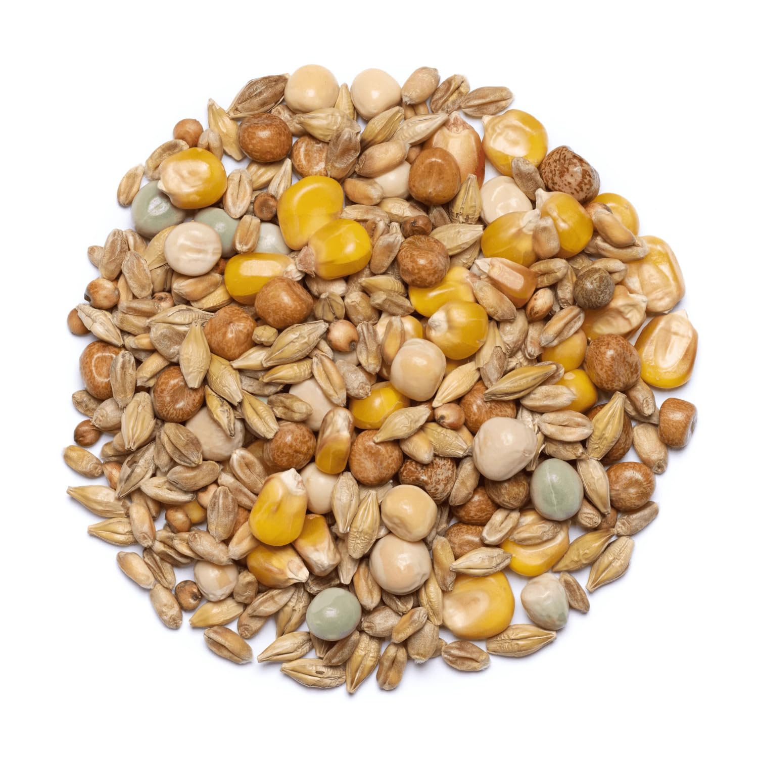 Countrywide Stock Bird Pigeon Seed Mix 20kg - All Year Round - Quality Dust Free Corn - Includes Maple Peas & French Roundberry Maize