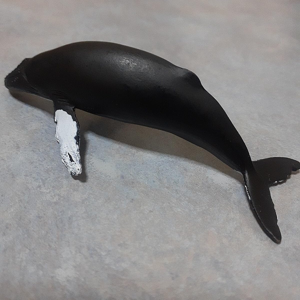 海洋堂 アクアランド AQUALAND □マッコウクジラ Mサイズ □松村しのぶ