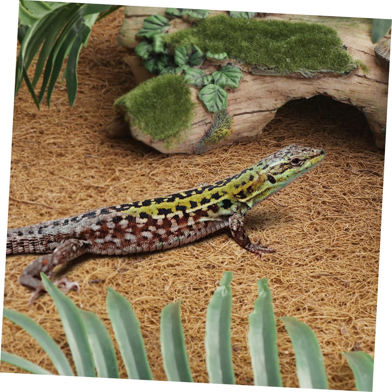 Toyvian Reptile Carpet Natural Coconut Fiber Mat Bedding Liner for Tortoises Snakes and Lizards Easy to Clean Terrarium Accessory