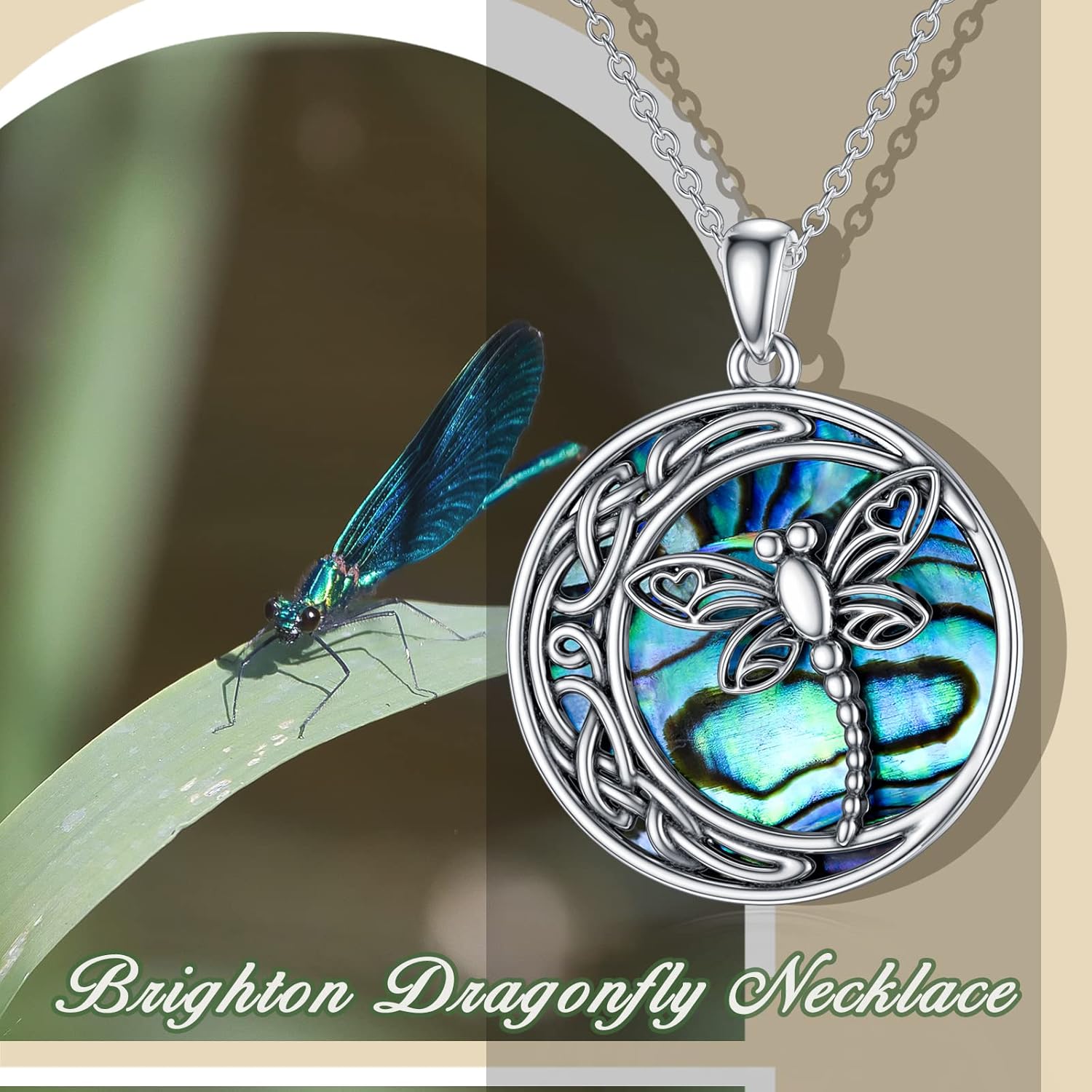 TOUPOP Dragonfly Gifts for Women S925 Sterling Silver Brighton Dragonfly Necklace with Crystal Birthday Mothers Day Jewlery Gifts for Dragonfly Lovers Women Mom - Image 5