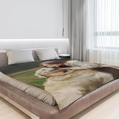 Miniatura 3 de Gowelly Manta personalizada con imagen, manta personalizada con fotos para adultos, niños, familia, mejores amigos en cumpleaños, Navidad, boda,