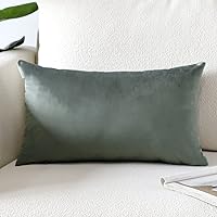 Vista 59 de Artscope Fundas de Almohada de Terciopelo de Lujo Fundas de Almohadas Cuadradas Decorativas Fundas de Cojines Suaves Sólidas para Sofá de Sala Sofá