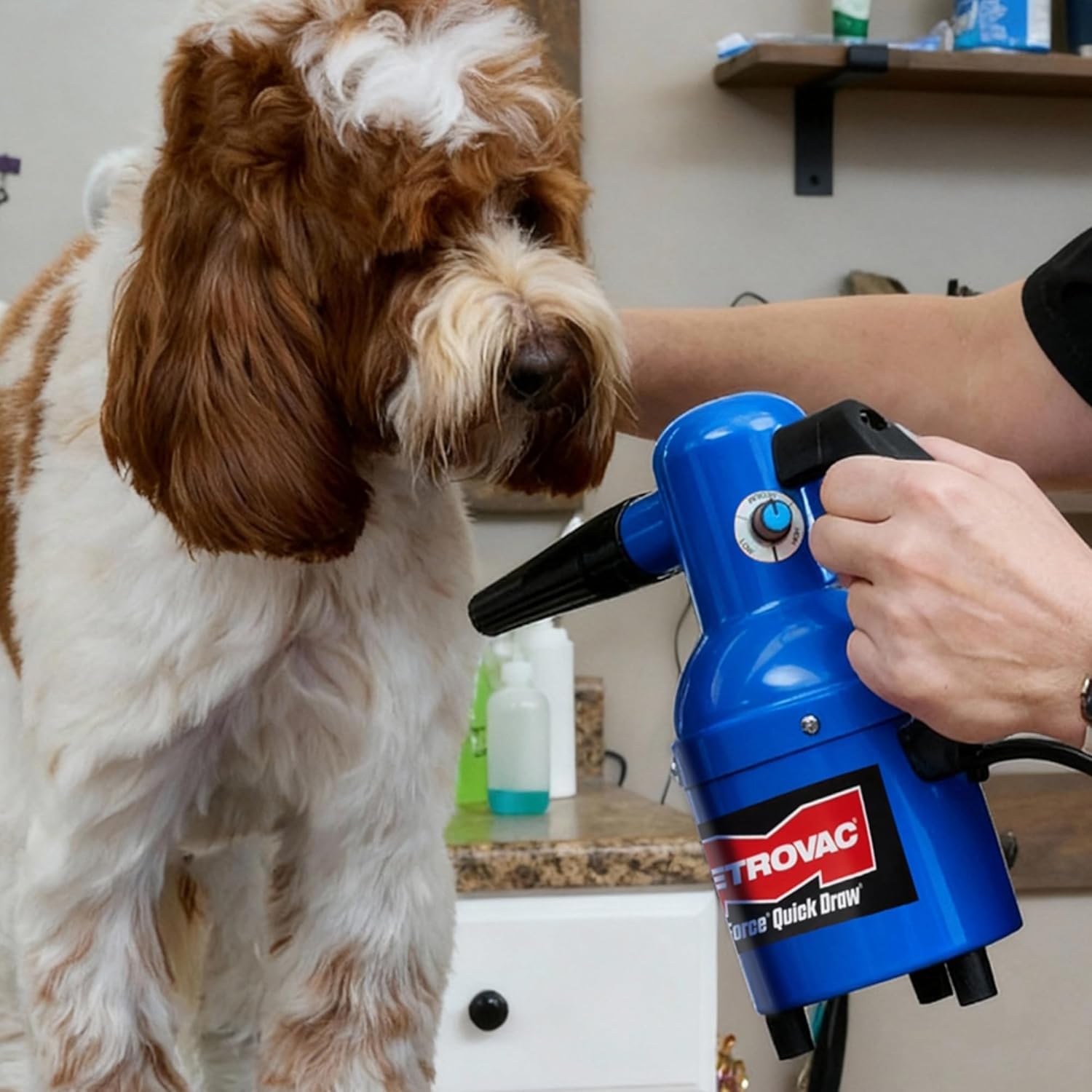 METROVAC Quick Draw Compact Pet Dryer - Dog Grooming - Baby Blue & Variable Speed