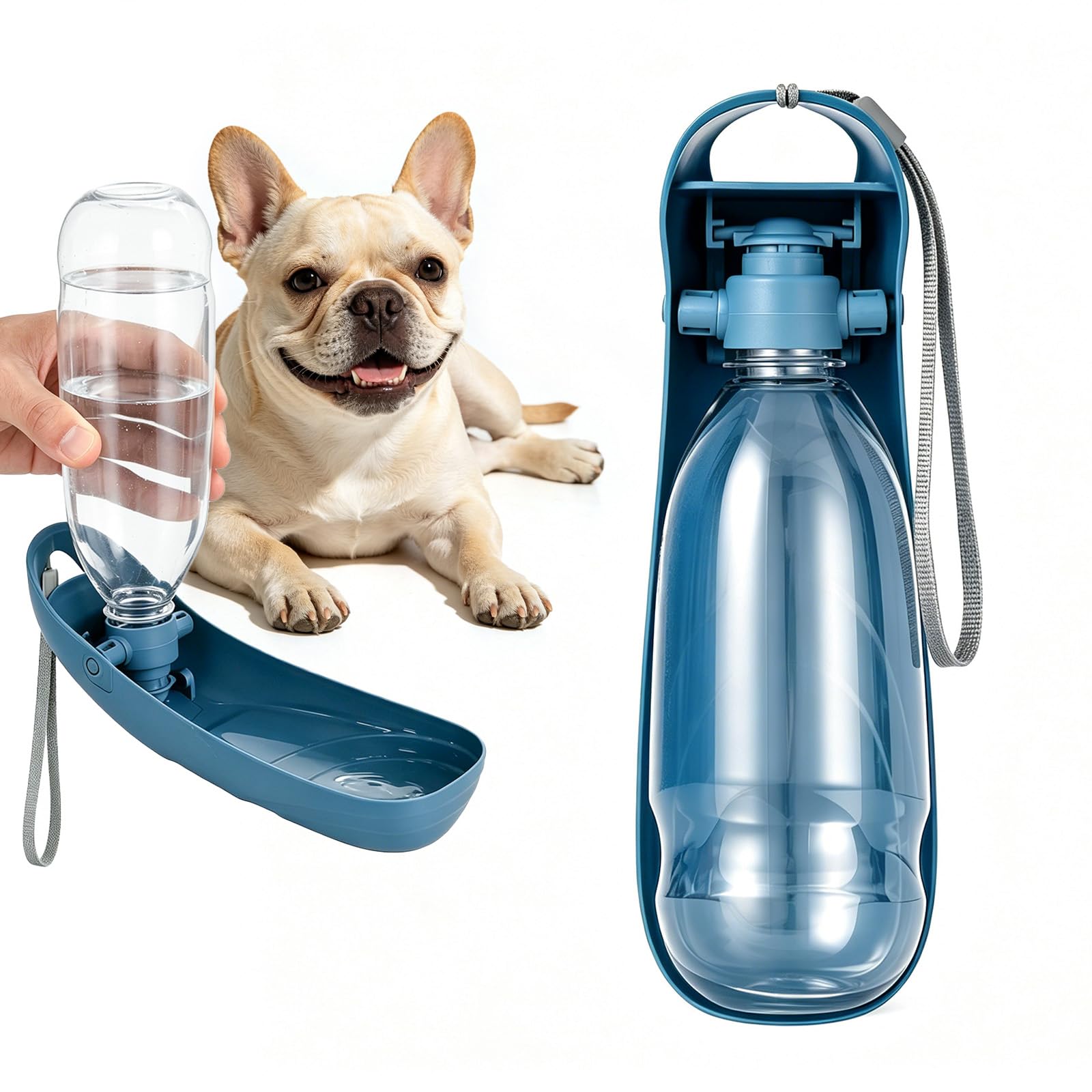 Pet Supplies : Billionchains Portable Dog Water Bottle, 18.5OZ